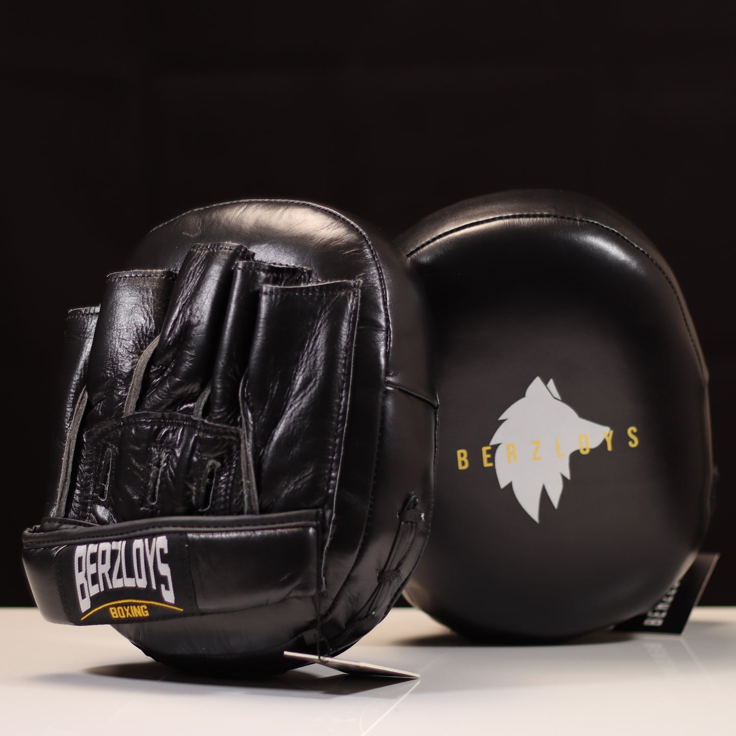 AM2 Boxing Air Mitts