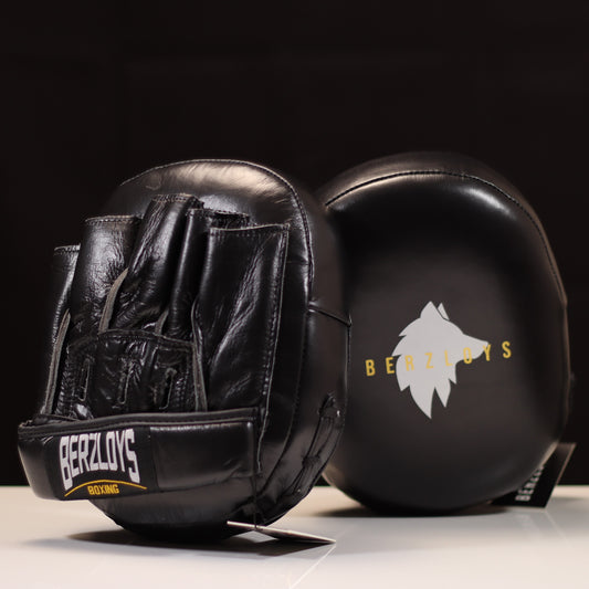 AM2 Boxing Air Mitts